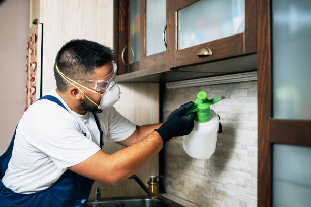 Best Emergency Pest Control  in West Little River, FL