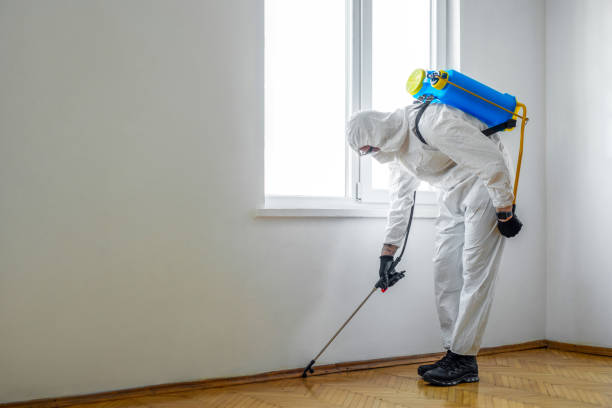 Best Wasp Removal Services  in West Little River, FL