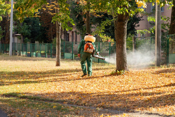 Flea Control Services in West Little River, FL