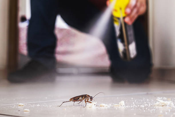 Best Wildlife Control Services  in West Little River, FL