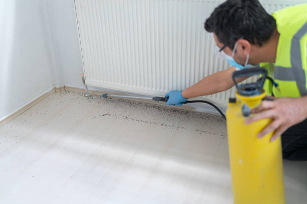 Best Flea Control Services  in West Little River, FL