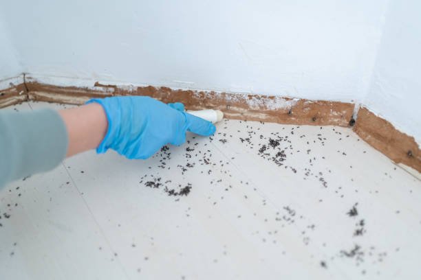 Best Exterminator Services  in West Little River, FL