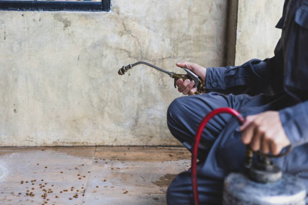 Best Termite Control Services  in West Little River, FL